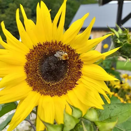 Chalet Pod Górką *