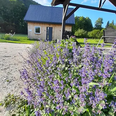 Pod Górką Chalet *