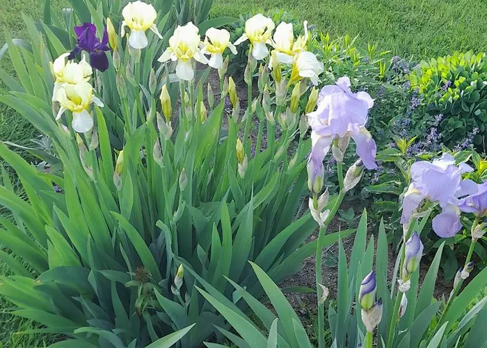 Horská chata Pod Gorka *